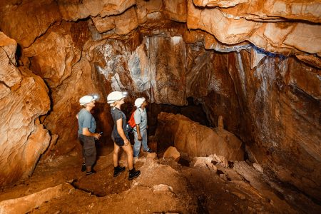 ARNHEM BAT CAVE TOUR